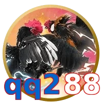 qq288
