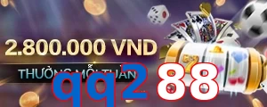 qq288